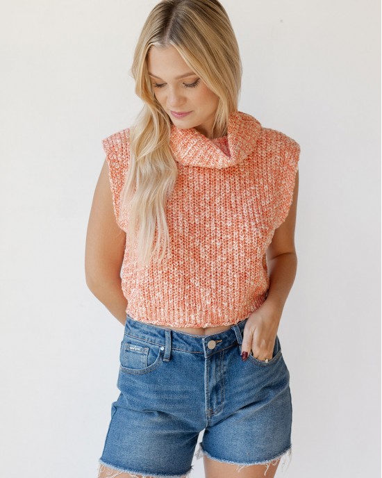 savannah high rise jean shorts